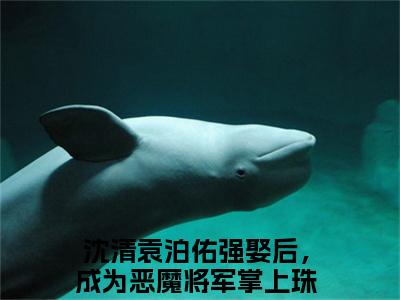 强娶后，成为恶魔将军掌上珠（沈清袁泊佑）全文免费阅读大结局_强娶后，成为恶魔将军掌上珠最新章节列表_笔趣阁