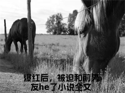 林雀沈迟（爆红后，被迫和前男友he了）全文免费阅读无弹窗大结局_（爆红后，被迫和前男友he了全文免费阅读无弹窗）林雀沈迟最新章节列表_笔趣阁（爆红后，被迫和前男友he了）