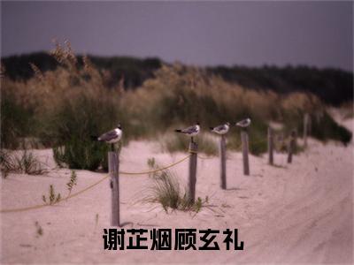谢芷烟顾玄礼全文免费阅读-谢芷烟顾玄礼最新章节小说阅读