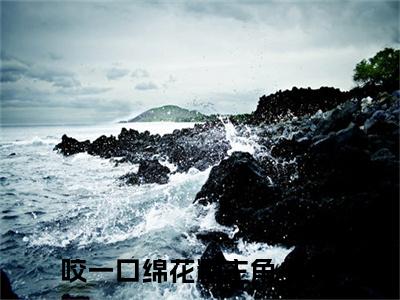 咬一口绵花糖小说（沈意绵沈丛白）完整版大结局-沈意绵沈丛白小说免费阅读