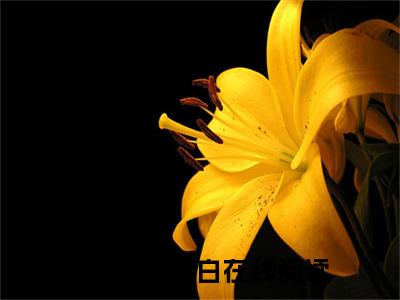 神医毒凤（沈墨染萧夜白）全文免费大结局小说-神医毒凤全文最新章节阅读