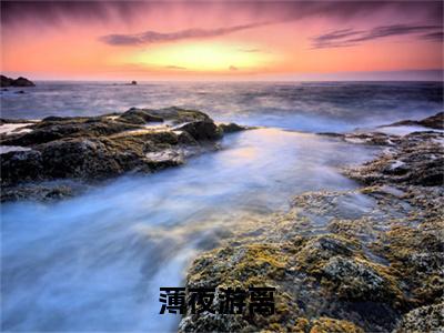 薄夜游离小说（薄夜游离）完整版大结局-薄夜游离小说免费阅读