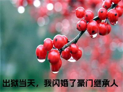 秦晏苏凝出狱当天，我闪婚了豪门继承人小说（出狱当天，我闪婚了豪门继承人）全文在线阅读无弹窗大结局秦晏苏凝