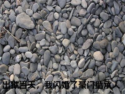 出狱当天，我闪婚了豪门继承人（秦晏苏凝）小说全文免费阅读无弹窗_（秦晏苏凝）最新章节列表_笔趣阁