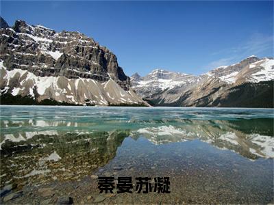 秦晏苏凝(出狱当天，我闪婚了豪门继承人)全文免费阅读无弹窗大结局_秦晏苏凝完整版在线阅读章节列表_笔趣阁