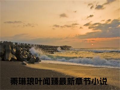 秦琳琅叶闻臻（秦琳琅叶闻臻）全文免费阅读无弹窗大结局秦琳琅叶闻臻
