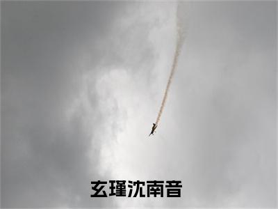 玄瑾沈南音小说（玄瑾沈南音）全文免费阅读无弹窗大结局_（玄瑾沈南音免费阅读）玄瑾沈南音最新章节列表_笔趣阁（玄瑾沈南音）