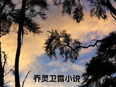 乔灵卫霄完整章节阅读-乔灵卫霄全文试读