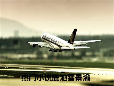 人生无法重来，景渝，再见了（鹿沁雪景渝小说）全文免费阅读无弹窗大结局_人生无法重来，景渝，再见了全文免费阅读_笔趣阁（鹿沁雪景渝）