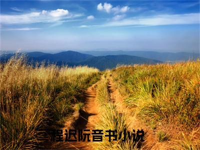 程迟阮音书小说(程迟阮音书)小说全文免费阅读_（程迟阮音书）程迟阮音书最新章节列表