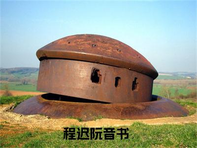 程迟阮音书小说免费版最新更新阅读-程迟阮音书全文免费阅读