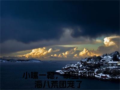 叶九霖小说免费阅读小嘴一瘪，萌宝被四海八荒团宠了小说全文免费阅读_（叶九霖）小嘴一瘪，萌宝被四海八荒团宠了最新章节列表笔趣阁