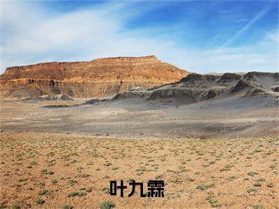 小嘴一瘪，萌宝被四海八荒团宠了全文免费阅读_（叶九霖免费阅读无弹窗）小嘴一瘪，萌宝被四海八荒团宠了最新章节列表笔趣阁