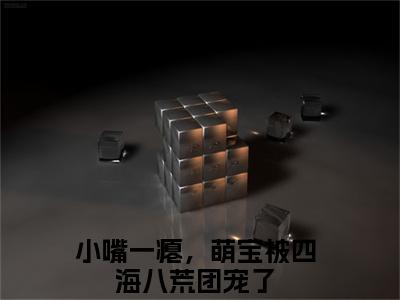 小嘴一瘪，萌宝被四海八荒团宠了全文免费阅读无弹窗大结局_（叶九霖小说）小嘴一瘪，萌宝被四海八荒团宠了最新章节列表笔趣阁（叶九霖）