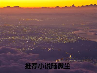 陆微尘全文小说（穿成福宝文炮灰？我靠科研逆袭）-完整版小说穿成福宝文炮灰？我靠科研逆袭（陆微尘）热文免费阅读