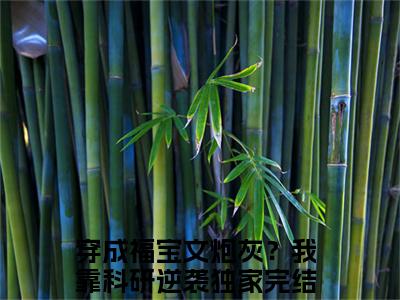陆微尘(穿成福宝文炮灰？我靠科研逆袭)全文免费阅读无弹窗大结局_陆微尘完整版在线阅读章节列表_笔趣阁