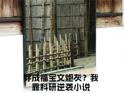 穿成福宝文炮灰？我靠科研逆袭在线阅读（陆微尘）全文免费阅读无弹窗大结局_陆微尘免费最新章节列表_笔趣阁