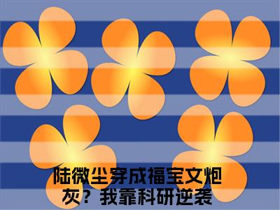穿成福宝文炮灰？我靠科研逆袭txt（陆微尘）全文免费阅读无弹窗大结局_穿成福宝文炮灰？我靠科研逆袭最新章节列表_笔趣阁（陆微尘）