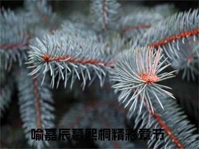 喻嘉辰慕熙桐（喻嘉辰慕熙桐）全文在线阅读无弹窗大结局_(喻嘉辰慕熙桐免费阅读全文大结局)最新章节列表_笔趣阁（喻嘉辰慕熙桐）