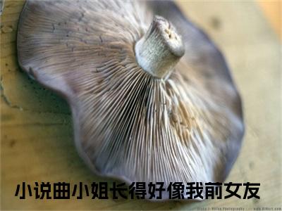 曲小姐长得好像我前女友(曲连栀祁南理)全文免费阅读_曲连栀祁南理(曲小姐长得好像我前女友)全文阅读_笔趣阁（曲连栀祁南理）