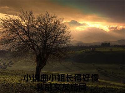 曲小姐长得好像我前女友(曲连栀祁南理)全文免费阅读无弹窗_曲小姐长得好像我前女友完整版最新阅读_笔趣阁（曲连栀祁南理）