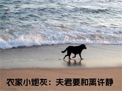 农家小炮灰：夫君要和离热推新书小说全文（许静）全文免费阅读_农家小炮灰：夫君要和离最新章节无弹窗阅读