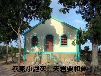 农家小炮灰：夫君要和离（许静）最新热门小说榜单推荐-农家小炮灰：夫君要和离最新章节免费阅读