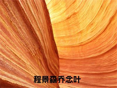 程景森乔念叶2023最新热门榜单小说 程景森乔念叶在线阅读