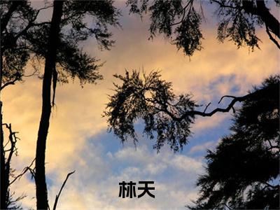 封神：商朝小兵，被纣王偷听心声抖音完结版阅读《林天》最新章节目录好书推荐_(封神：商朝小兵，被纣王偷听心声)