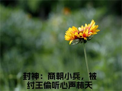 封神：商朝小兵，被纣王偷听心声全文小说（林天）全文阅读-封神：商朝小兵，被纣王偷听心声在线小说免费阅读