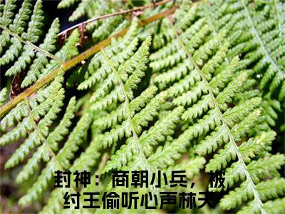 （林天）封神：商朝小兵，被纣王偷听心声无弹窗免费阅读 林天大结局无删阅读_笔趣阁
