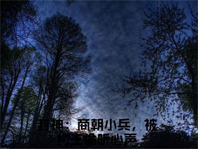 封神：商朝小兵，被纣王偷听心声林天多人追免费无弹窗小说,林天已完结全集大结局