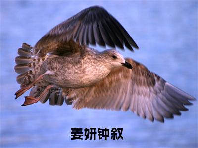 （姜妍钟叙）是什么小说-姜妍钟叙全文免费阅读无弹窗大结局（姜妍钟叙）最新章节列表_笔趣阁