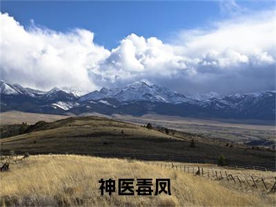 萧夜白沈墨染（神医毒凤）新上热文小说讲的是什么-小说萧夜白沈墨染（神医毒凤）全文免费阅读