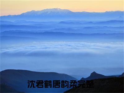 沈君鹤唐韵柔全网首发最新小说主角沈君鹤唐韵柔全文在线免费阅读