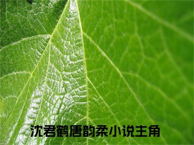 高赞小说沈君鹤唐韵柔（沈君鹤唐韵柔小说免费阅读）完结阅读_沈君鹤唐韵柔小说免费阅读免费看全文