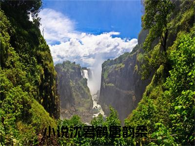 沈君鹤唐韵柔小说（沈君鹤唐韵柔）免费阅读全文-完整版小说（沈君鹤唐韵柔）最新在线阅读