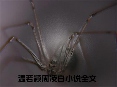 温若颖周凌白（温若颖周凌白）全文免费阅读无弹窗大结局_温若颖周凌白全文在线阅读无弹窗