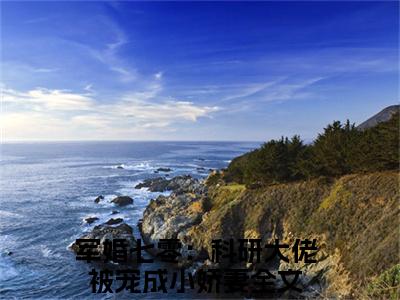 宋晏洲叶暮小说（军婚七零：科研大佬被宠成小娇妻）全文免费阅读无弹窗大结局_宋晏洲叶暮全文免费完结版阅读（军婚七零：科研大佬被宠成小娇妻）