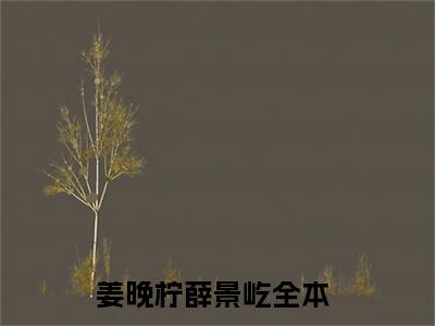 小说姜晚柠薛景屹（姜晚柠薛景屹）最新章节免费阅读-（姜晚柠薛景屹）小说全文无删减版