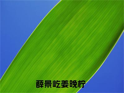 薛景屹姜晚柠(薛景屹姜晚柠)最新章节阅读无弹窗大结局_薛景屹姜晚柠最新试读-（薛景屹姜晚柠知乎小说）