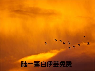 最火言情小说（陆一骞白伊芸）-老书虫良心推荐陆一骞白伊芸（陆一骞白伊芸）小说精彩免费试读