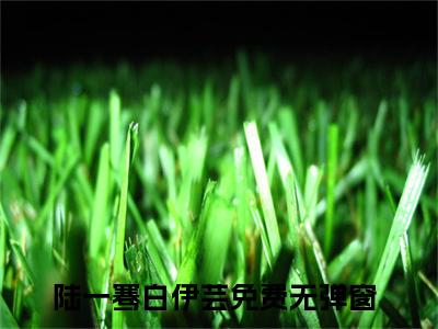 陆一骞白伊芸是哪部小说的主角-《陆一骞白伊芸》全文无弹窗完整版阅读