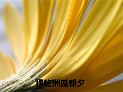 穆屹洲戚朝夕小说最新章节（穆屹洲戚朝夕）全文免费阅读无弹窗大结局_穆屹洲戚朝夕小说（穆屹洲戚朝夕小说：穆屹洲戚朝夕）