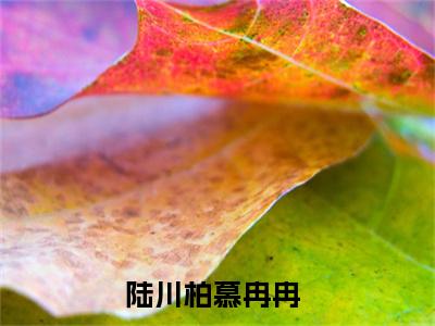 陆川柏慕冉冉（陆川柏慕冉冉）全集免费阅读无弹窗_(陆川柏慕冉冉小说免费阅读)_笔趣阁