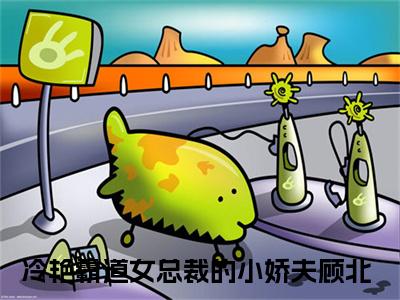 顾北免费阅读（冷艳霸道女总裁的小娇夫）全文免费阅读无弹窗大结局_顾北免费阅读最新章节列表_笔趣阁