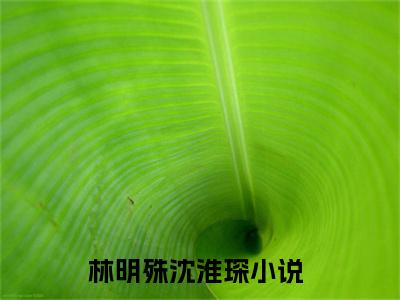 林明殊沈淮琛小说全文免费阅读，林明殊沈淮琛完整版