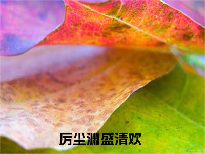 厉尘渊盛清欢（厉尘渊盛清欢）全文免费阅读无弹窗大结局-厉尘渊盛清欢最新章节列表-笔趣阁