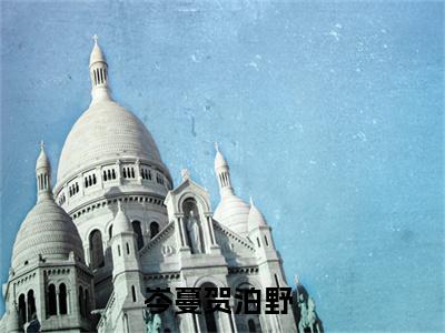岑蔓贺泊野（岑蔓贺泊野）全文免费阅读无弹窗大结局_（岑蔓贺泊野）最新章节列表笔趣阁