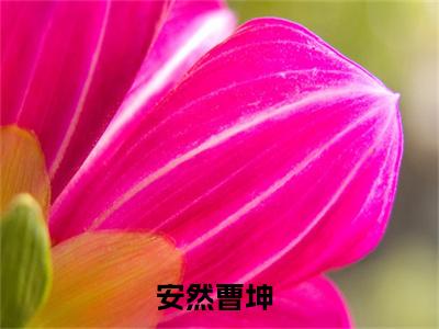 杀手穿六零暴揍极品去下乡精选小说大结局阅读_（安然曹坤）杀手穿六零暴揍极品去下乡免费阅读最新章节列表